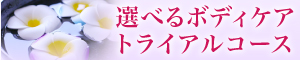 選べるボデケアトライアルコース